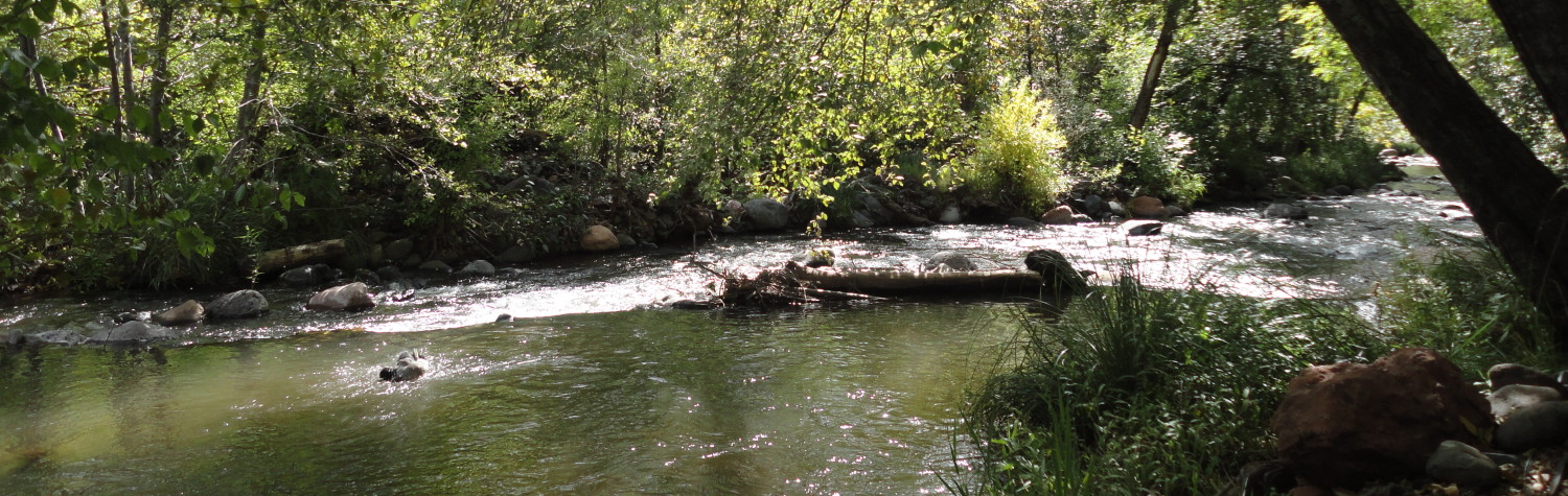 Susan E. Peterman, PhD.